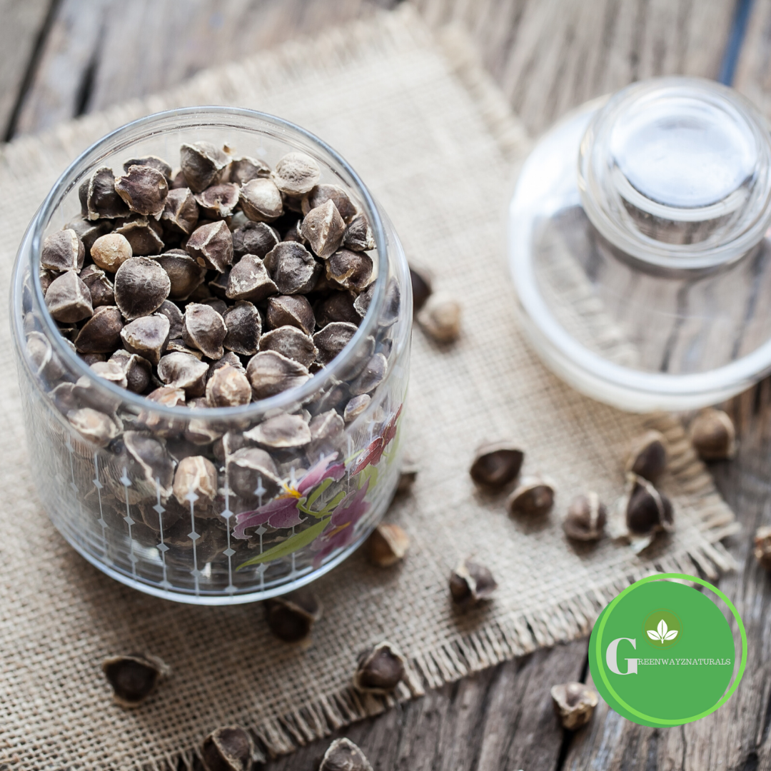 Moringa Seeds 10oz